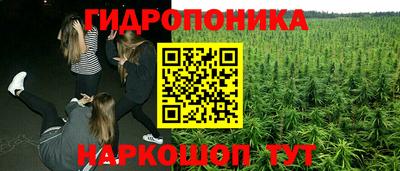 apvp Старая Купавна
