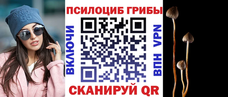 Псилоцибиновые грибы GOLDEN TEACHER Череповец