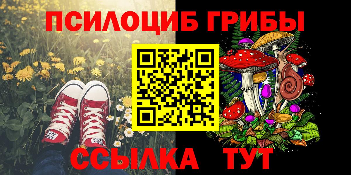 Галлюциногенные грибы Psilocybine cubensis Череповец