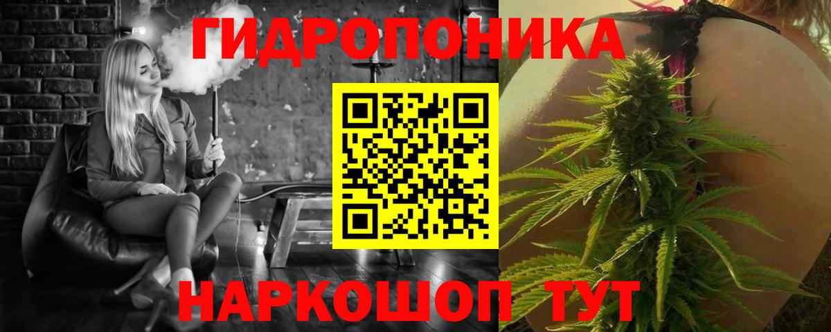Марихуана ГИДРОПОН  Бошки марихуана MAZAR  Череповец  Бошки Шишки план  Каннабис OG Kush  Вход с VPN 